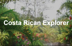 Photo of a jungle with Costa Rican Explorer in white lettering